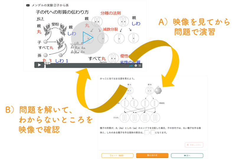 eboard_cycle